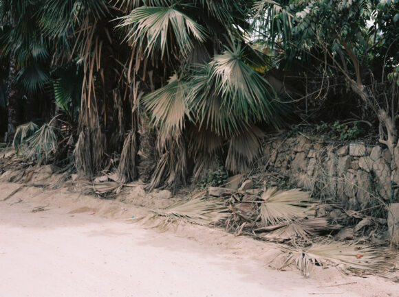 © Elie Villette