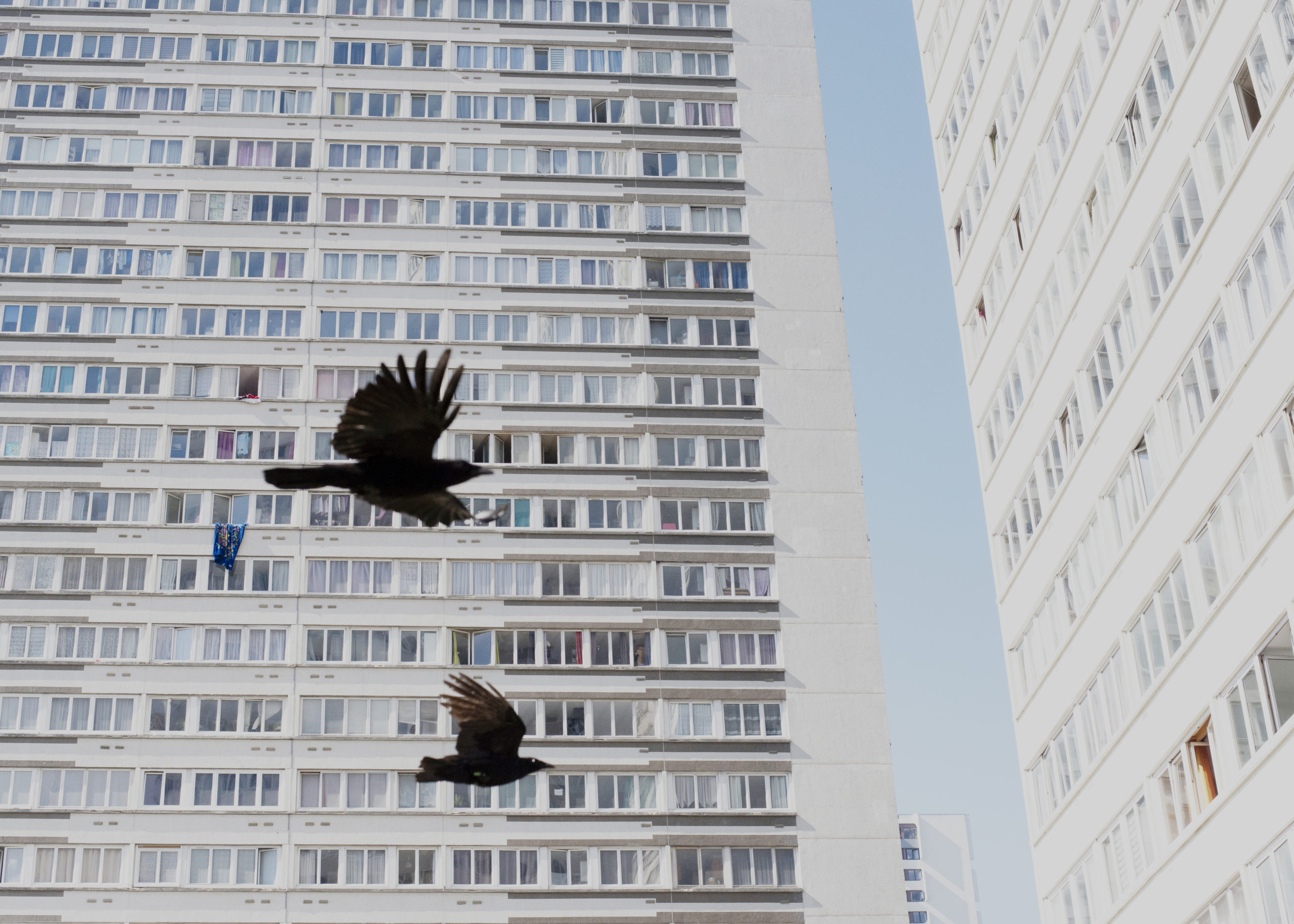 © Mathias Depardon