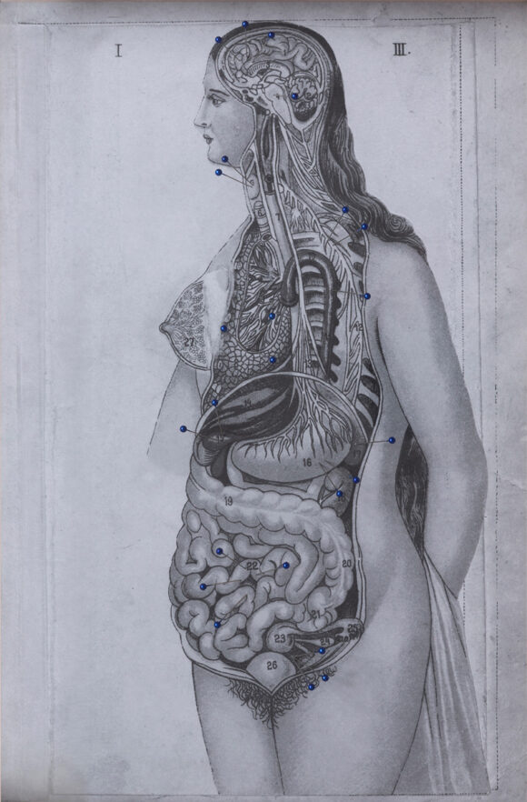 © Weronika Perłowska