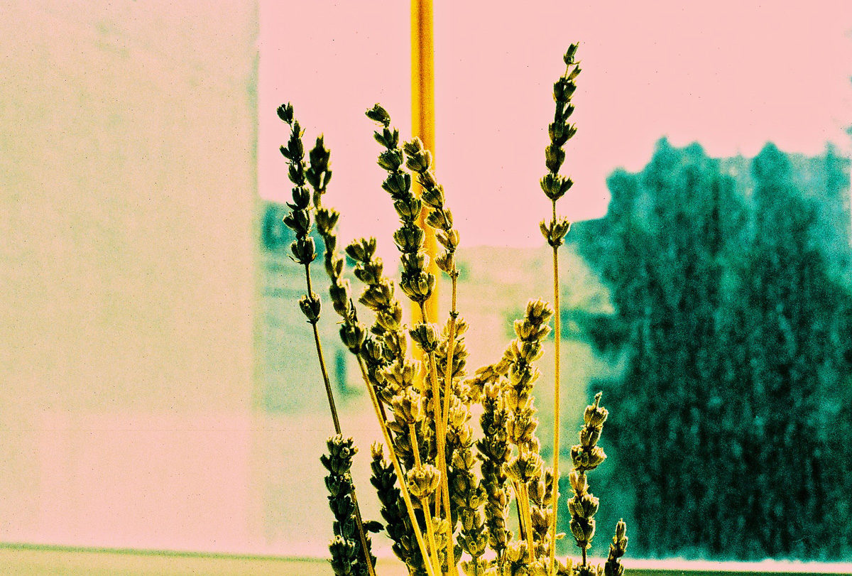 © Margaux Chalançon
