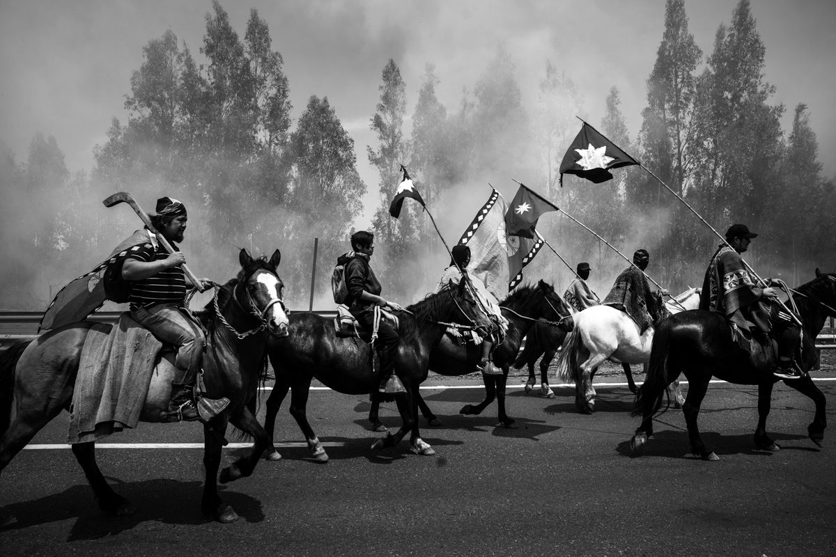 © Pablo Ernesto Piovano