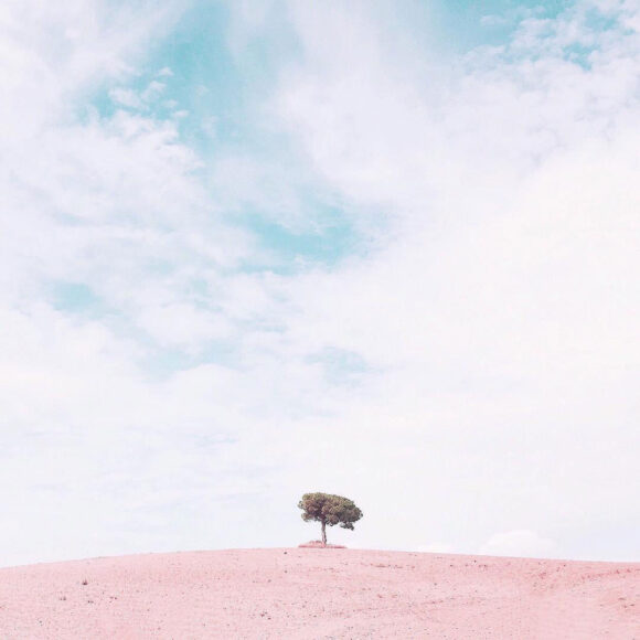 © Judith Sayrach