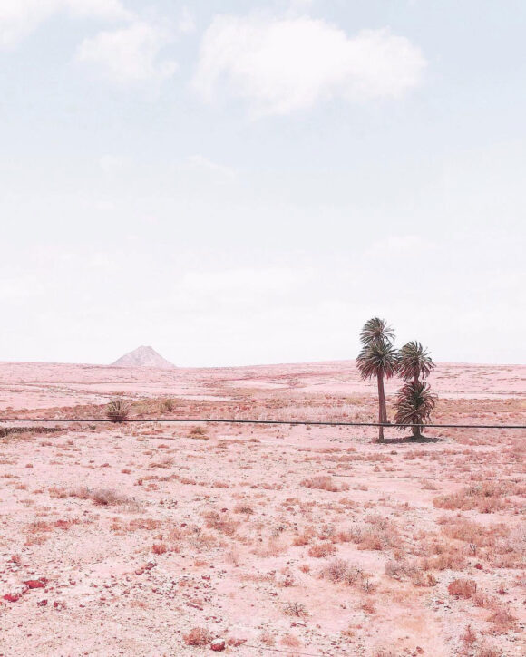 © Judith Sayrach