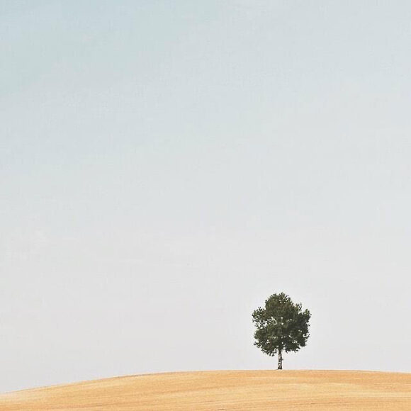 © Judith Sayrach