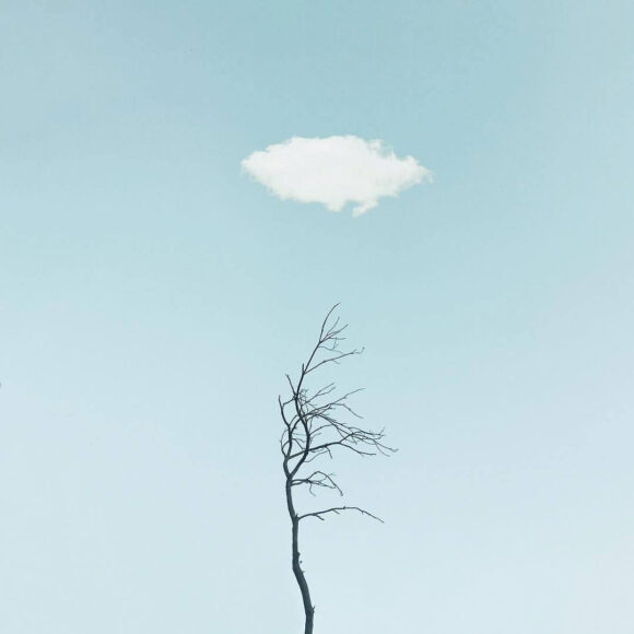 © Judith Sayrach