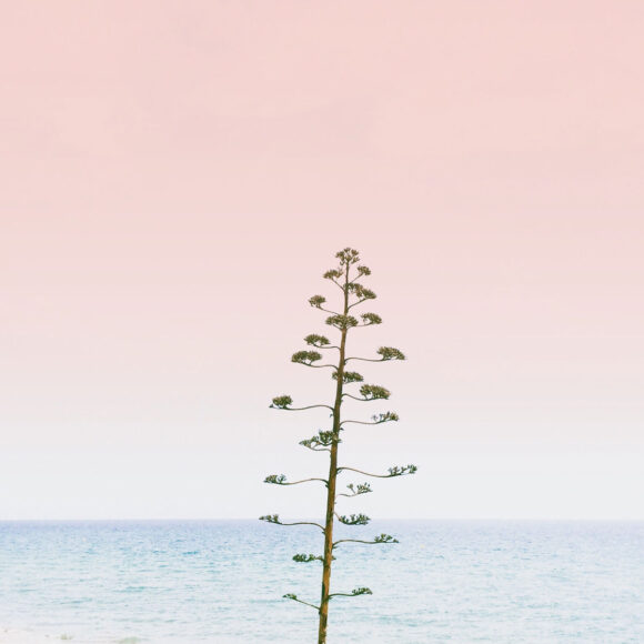 © Judith Sayrach