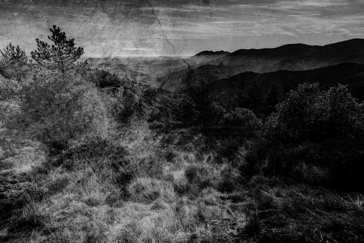 © Roger Bucher