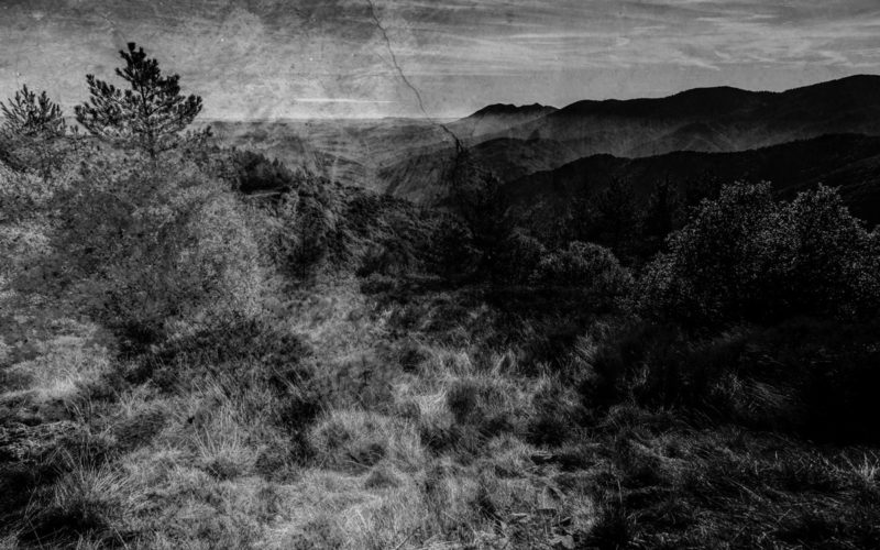 © Roger Bucher