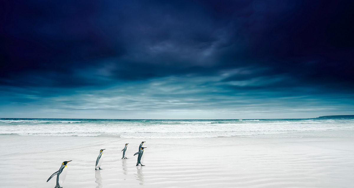 © Stanley Leroux