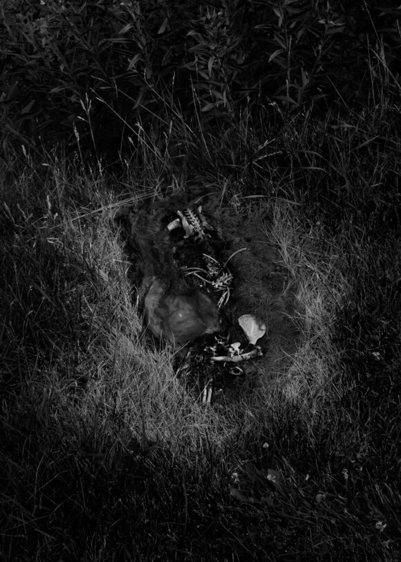 © Xiaoyue Pu