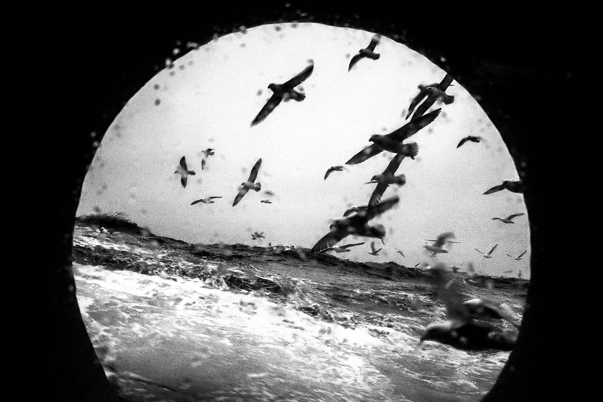© Pierre Vanneste