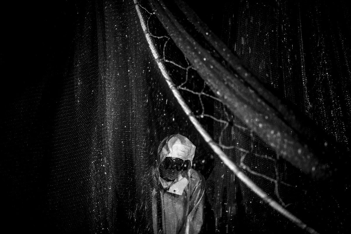 © Pierre Vanneste