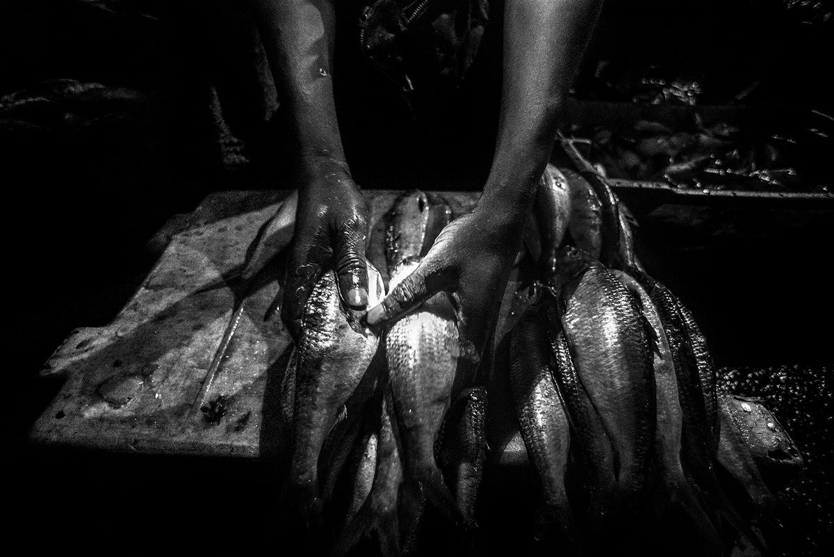 © Pierre Vanneste