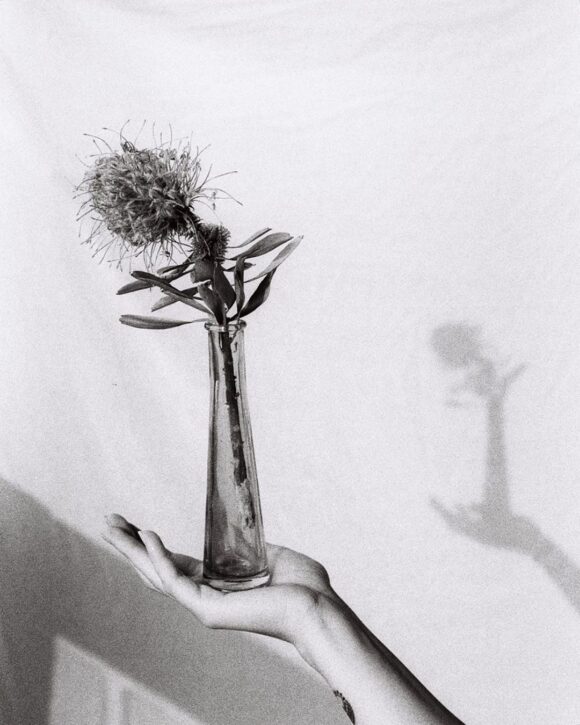 © Ainsley Sherwin / Instagram