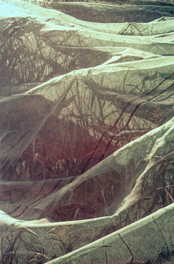 © Sterre Arentsen