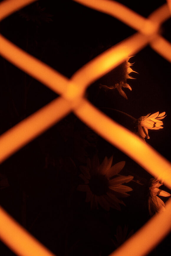 © Sterre Arentsen