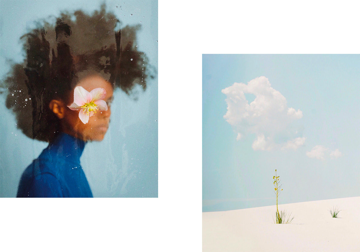 © Esther Lee