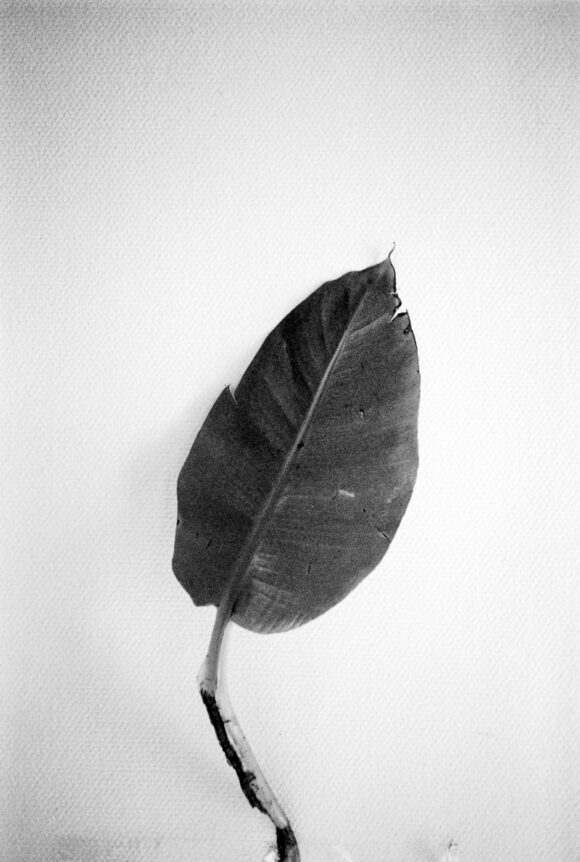 © Gabriel Dia
