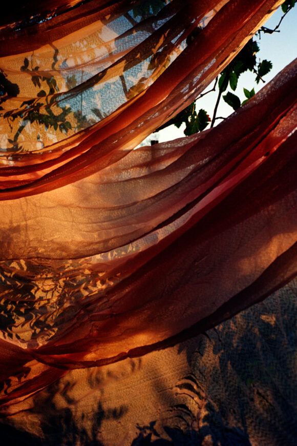 © Marguerite Bornhauser
