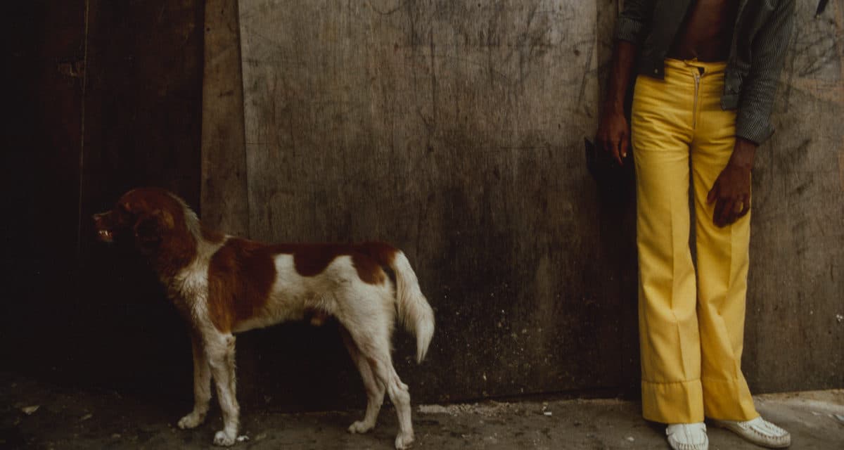 © Miguel Rio Branco / Magnum Photos