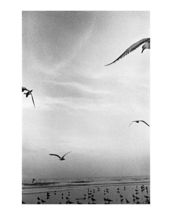 © Ralph Gibson