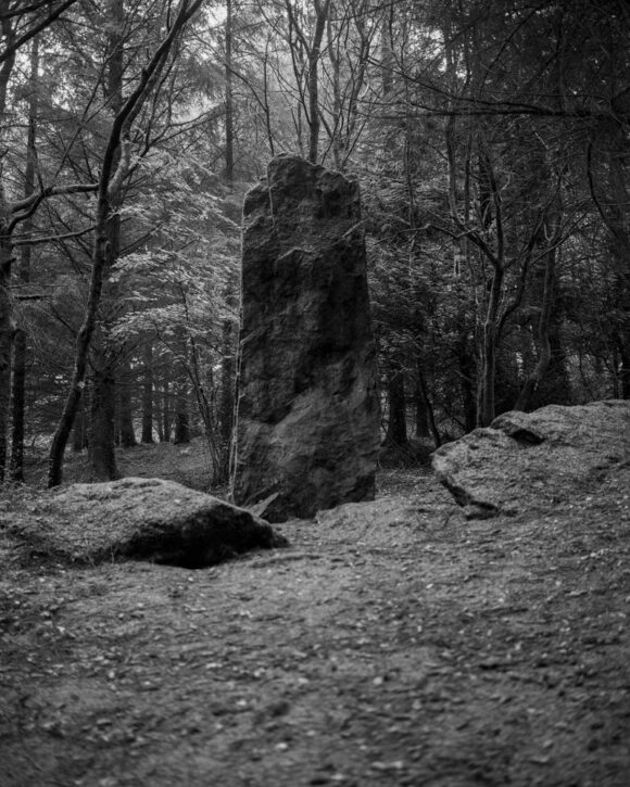 © Juliette Agnel : Courtesy Galerie Françoise Paviot fisheye 3