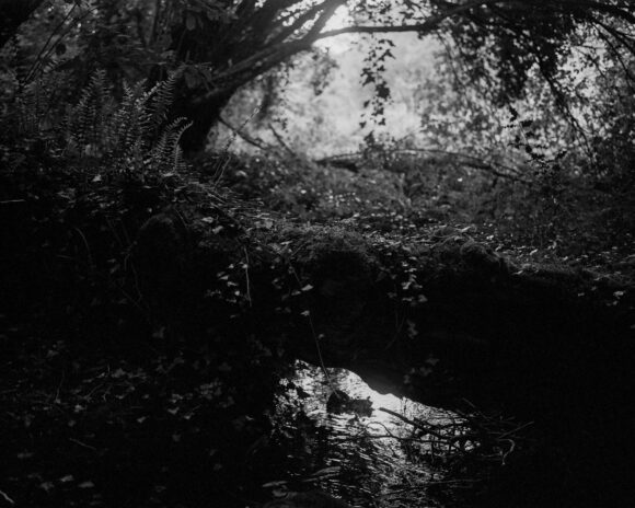 © Juliette Agnel / Courtesy Galerie Françoise Paviot