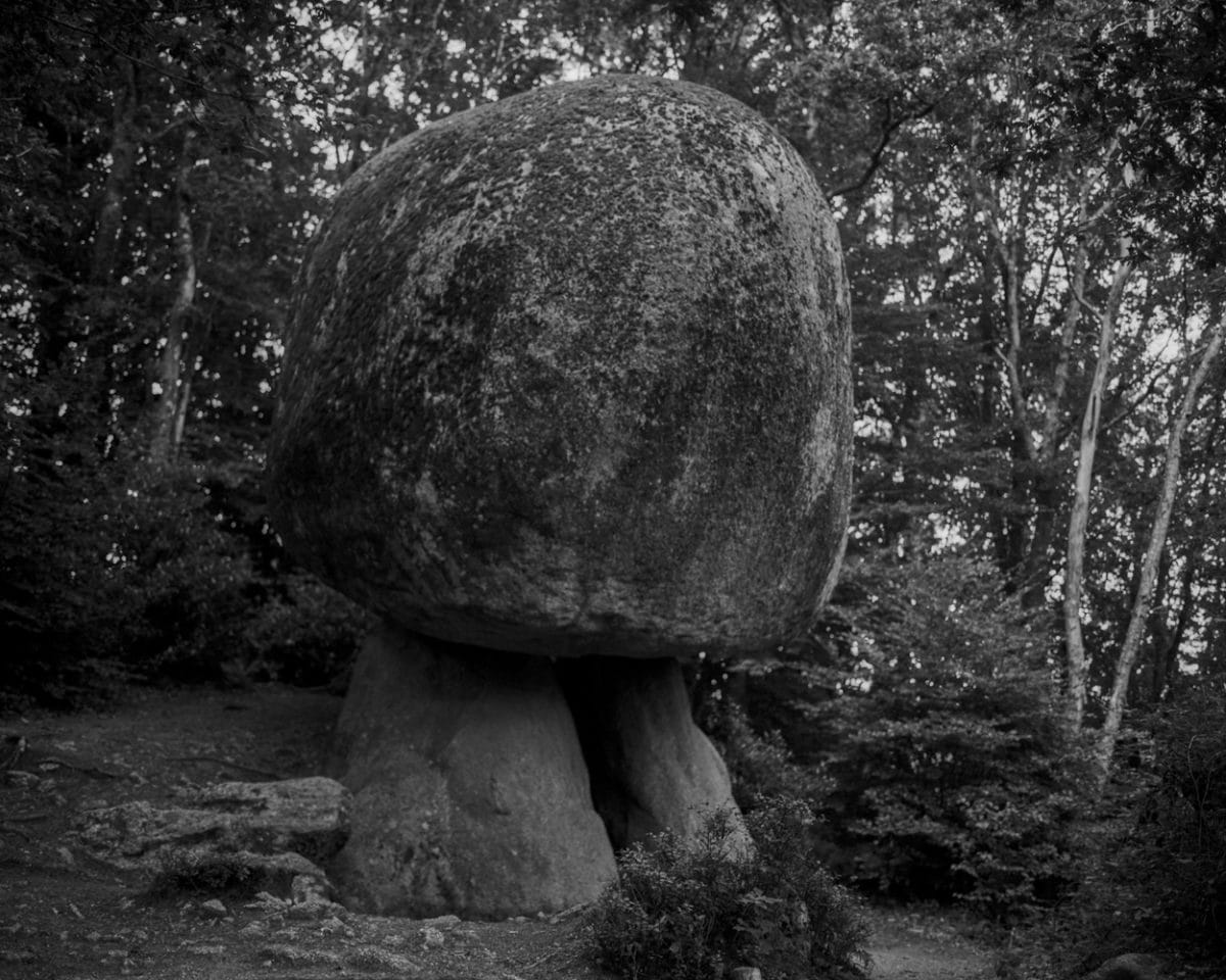 © Juliette Agnel / Courtesy Galerie Françoise Paviot