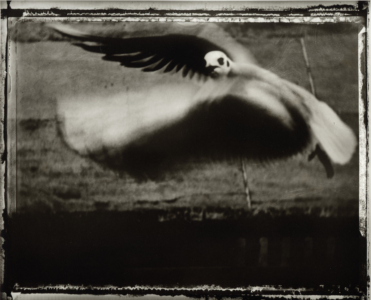 © Sarah Moon