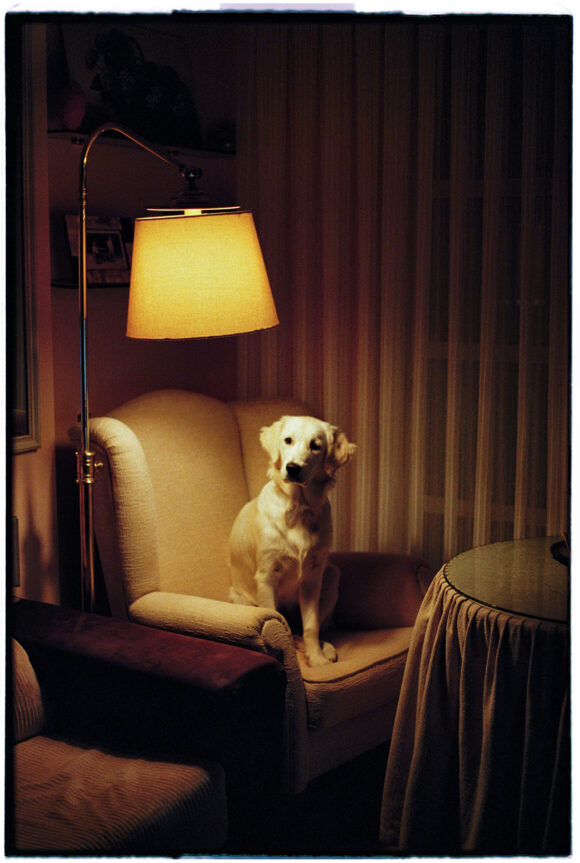 © Cristina Jiminez Rey