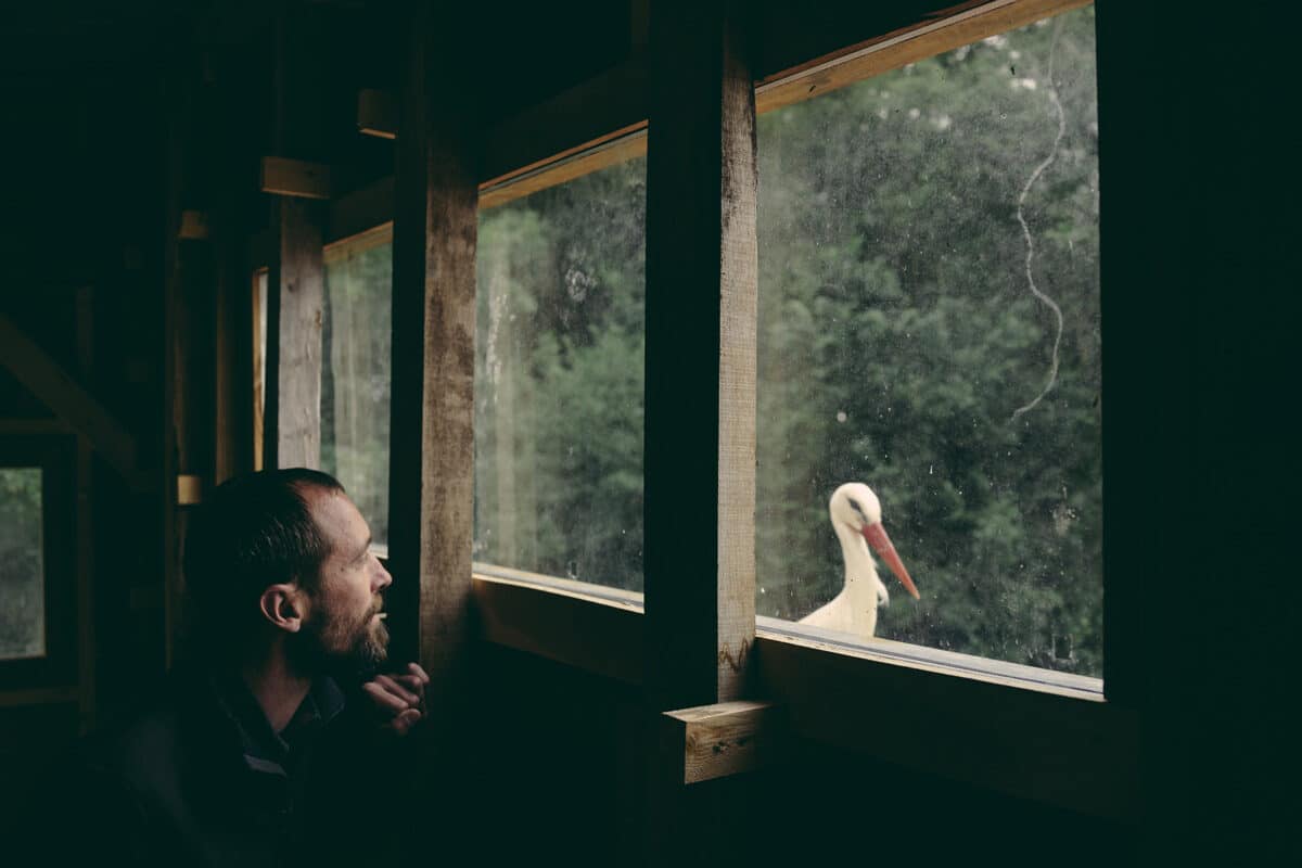 © Francesca Todde