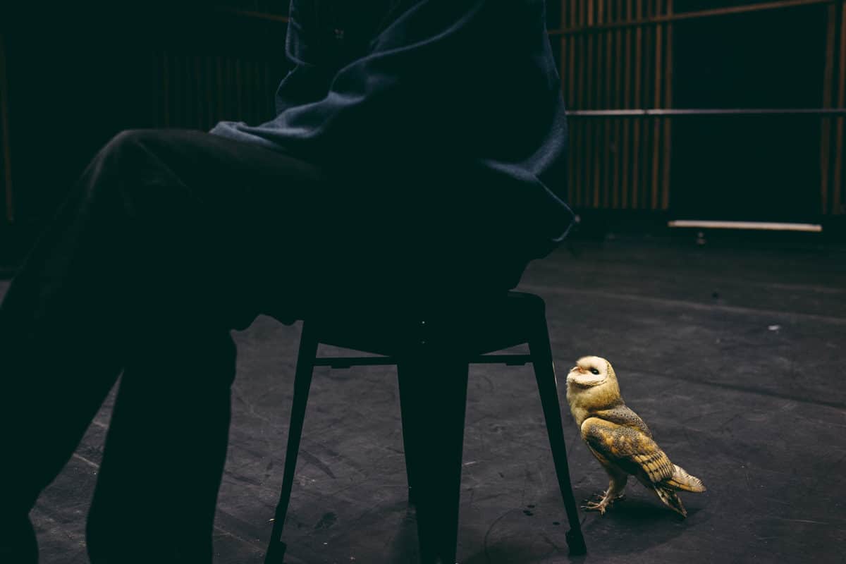 © Francesca Todde