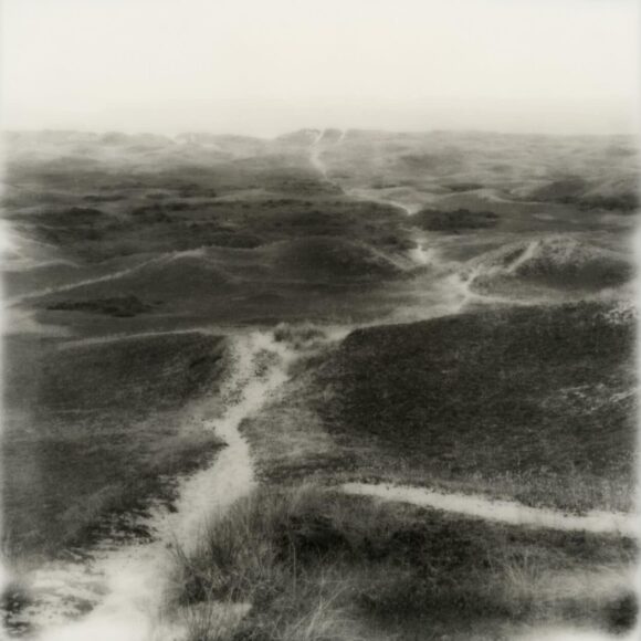 © Thomas Dhellemmes