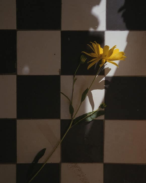 © Anett Pósalaki