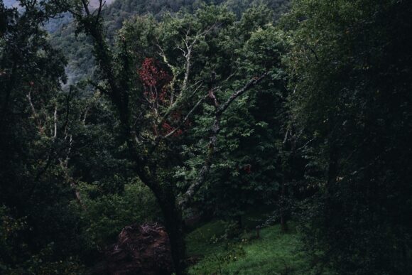 © Bénédicte Karyotis