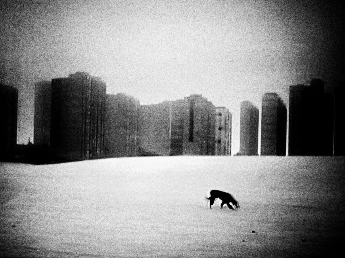 © Makis Makris