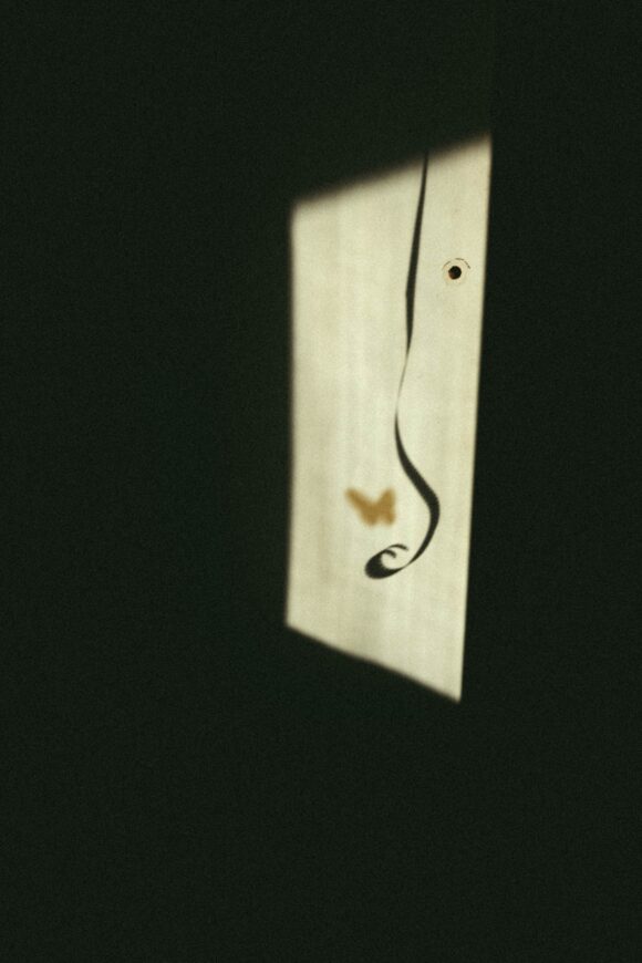 © Ronan Polin