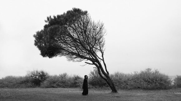 © Sema Yaman