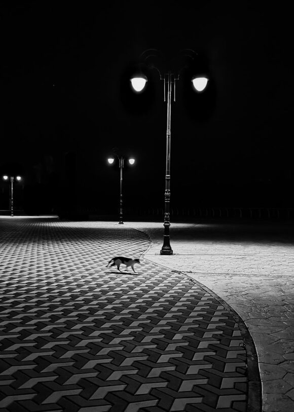 © Abdulaziz Mohammed Alsgheer