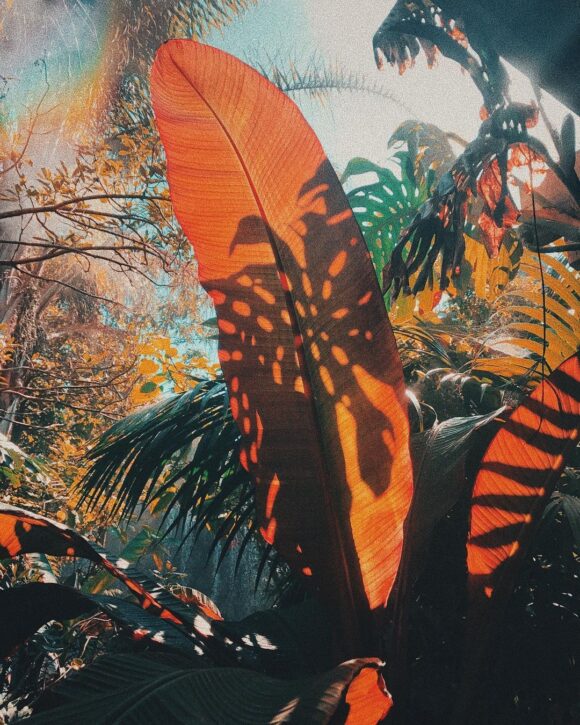 © Camille Legrand / Instagram