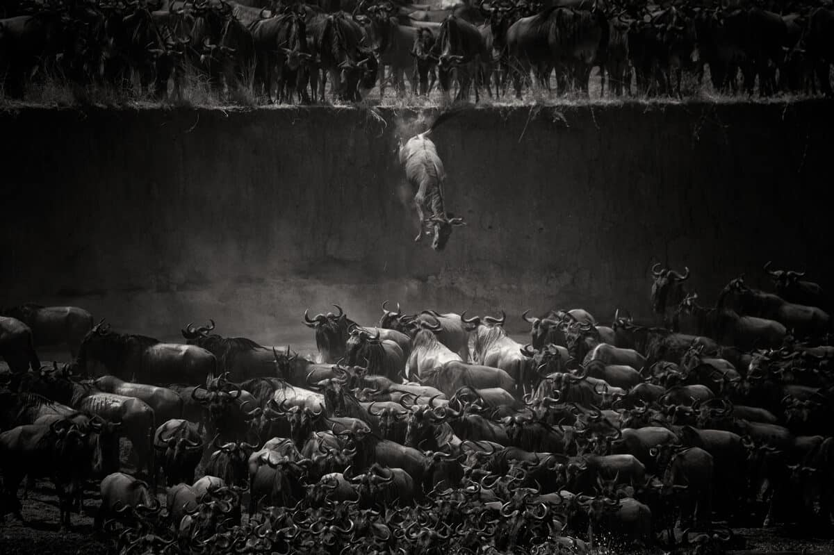 © Nicole Cambre, Belgium, 5th place winner, All About Photo Awards 2020
