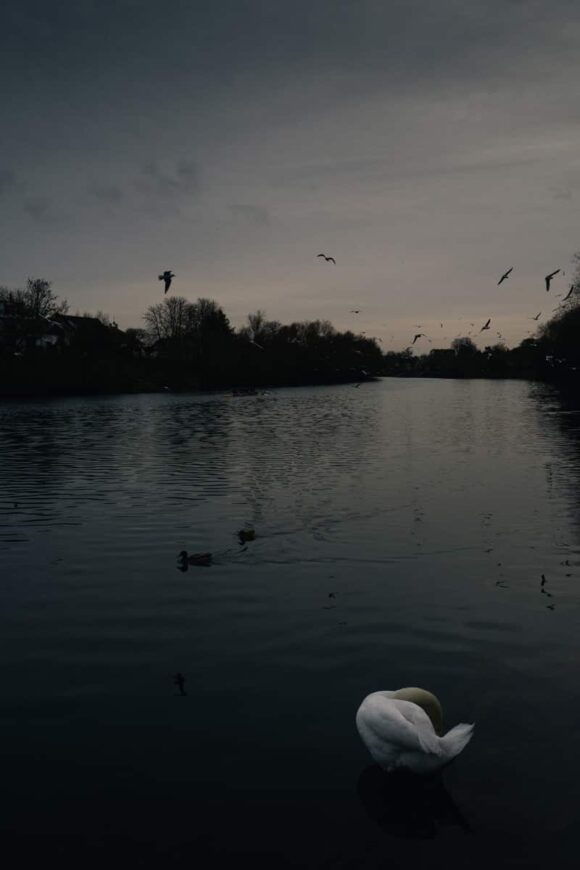 © Arno Brignon / Signatures