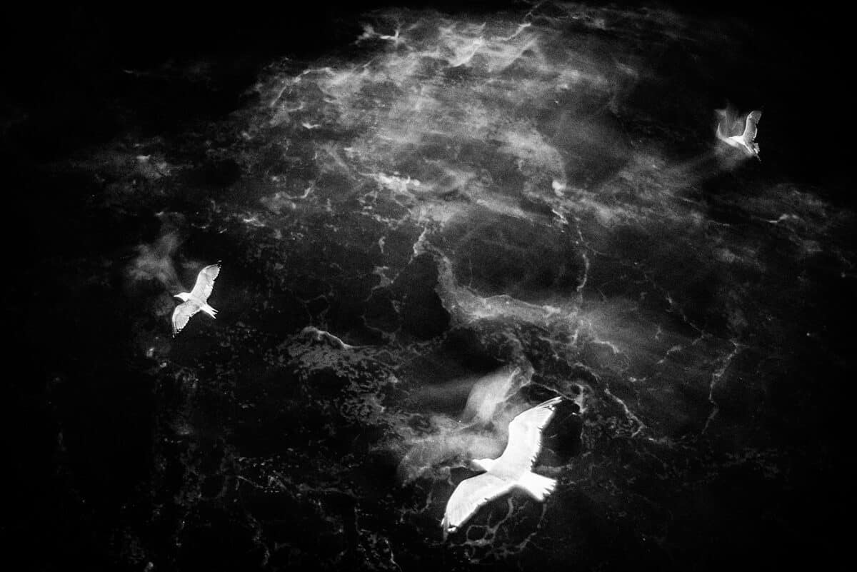 © Jean-Marc Balsière / IN FRAME