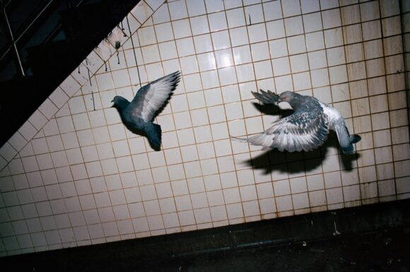© Matthew Beck