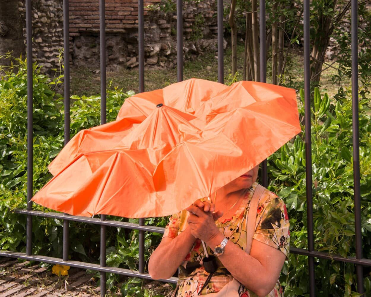 © Shane Lavalette