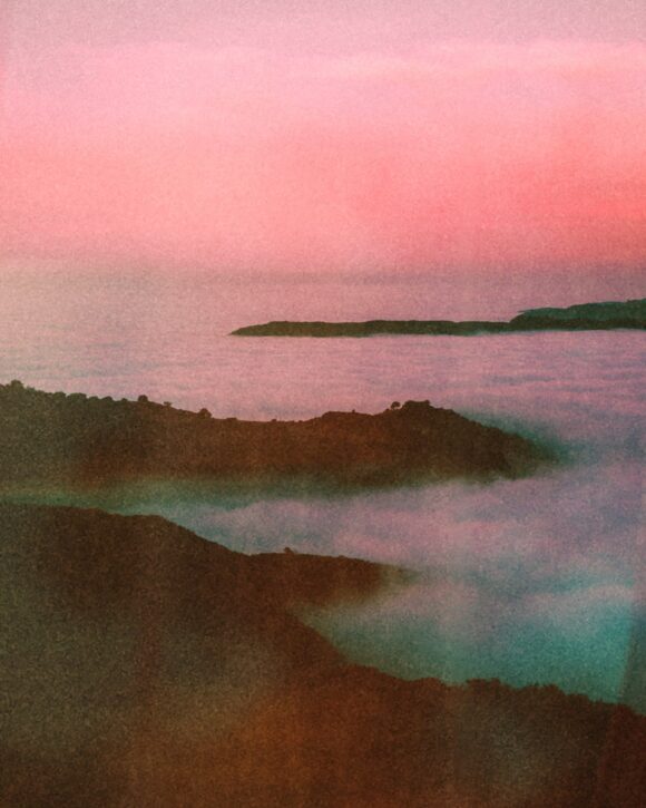 © Tristan Hollingsworth