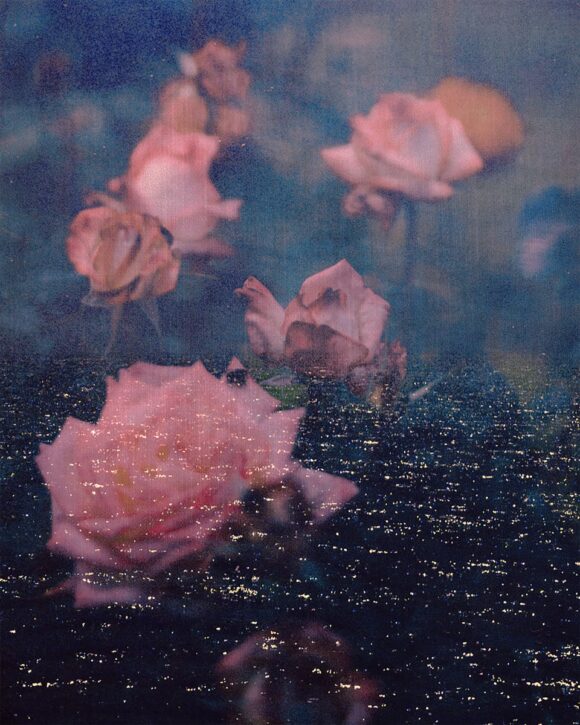 © Tristan Hollingsworth