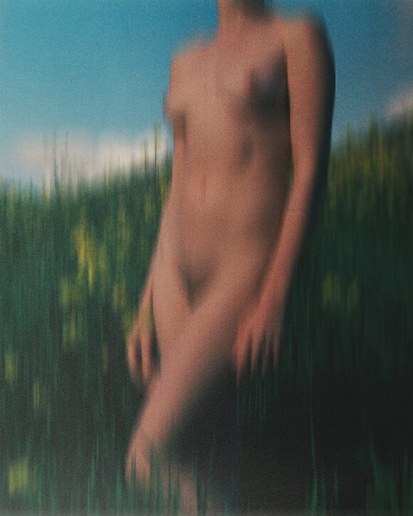 © Tristan Hollingsworth