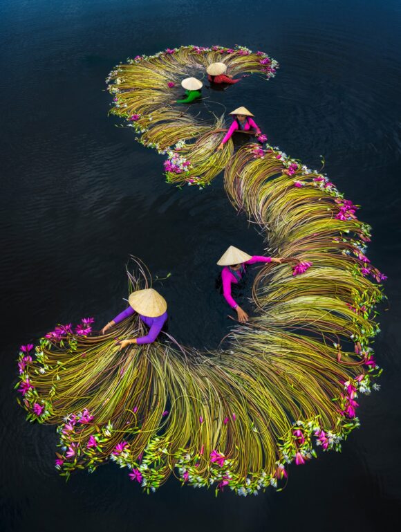 © Trung Pham Huy, Vietnam, Particular Merit Mention, All About Photo Awards 2020