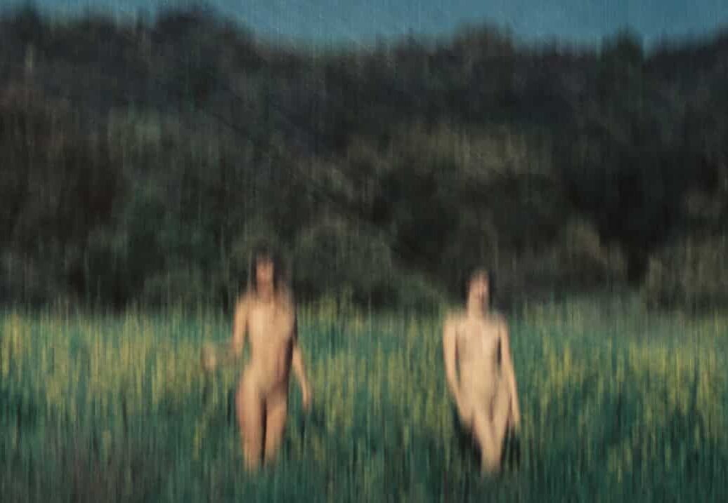 © Tristan Hollingsworth